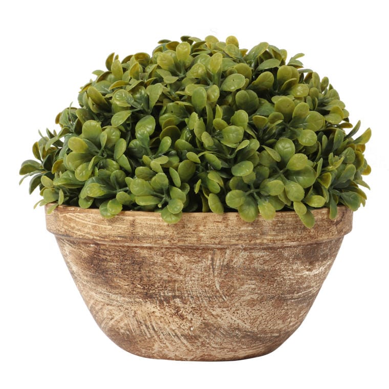 Sztuczny bukszpan w donicy 20 cm