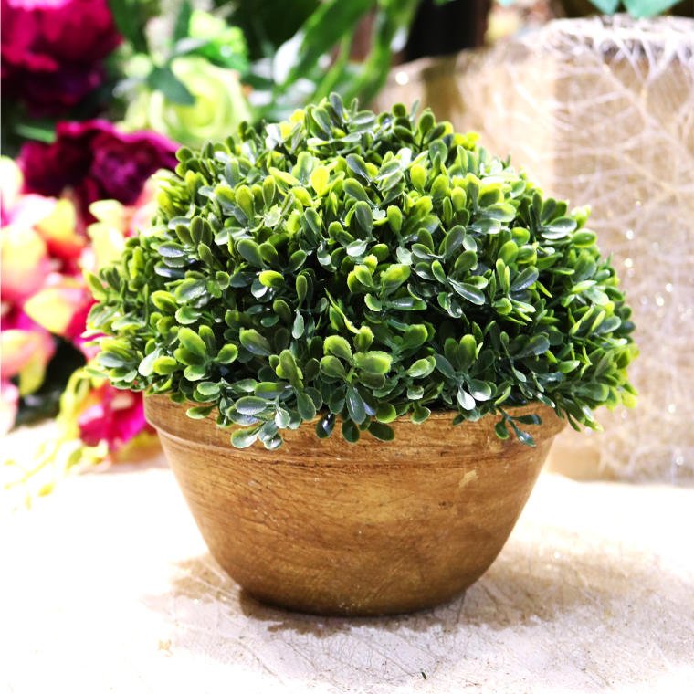 Sztuczny bukszpan w ceramicznej doniczce – 20 cm — autentyczna fotografia producenta Goliat dla SKU WY1168, ujęcie 3